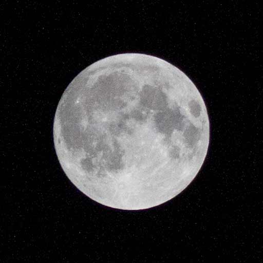 Happy Supermooncake Festival