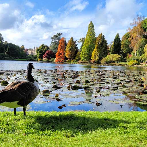 Sheffield Park