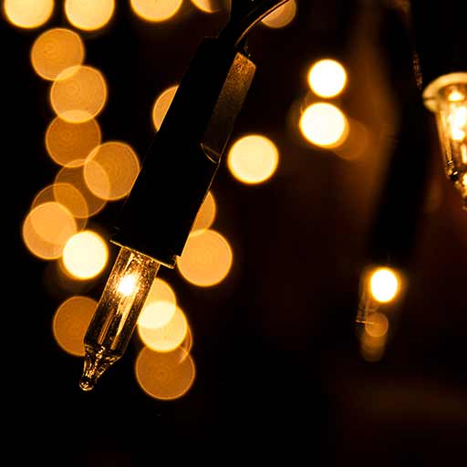 Fairy Lights