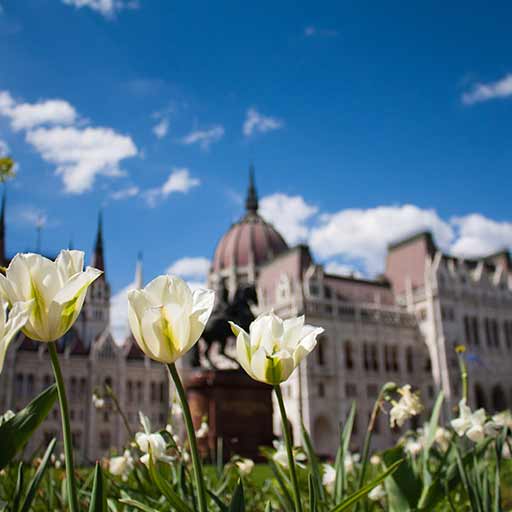 Hungarian Parliament